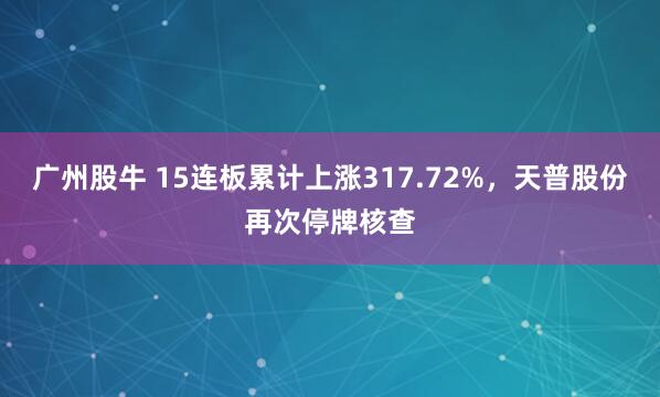 广州股牛 15连板累计上涨317.72%，天普股份再次停牌核查