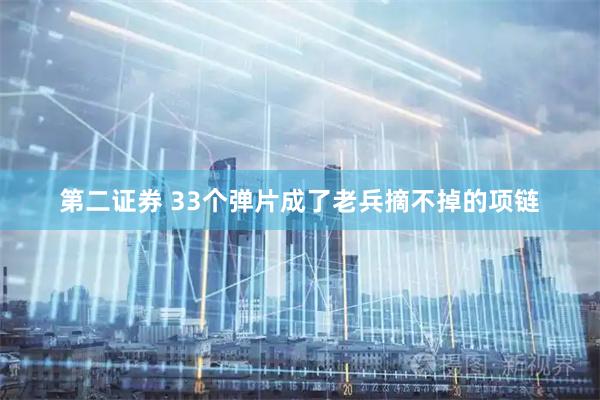 第二证券 33个弹片成了老兵摘不掉的项链