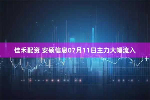 佳禾配资 安硕信息07月11日主力大幅流入