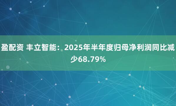 盈配资 丰立智能:2025年半年度归母净利润同比减少68.79%