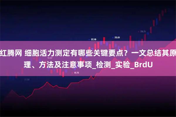 红腾网 细胞活力测定有哪些关键要点？一文总结其原理、方法及注意事项_检测_实验_BrdU